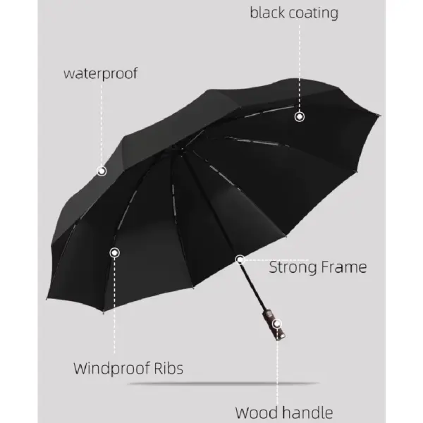 business style umbrella premium design